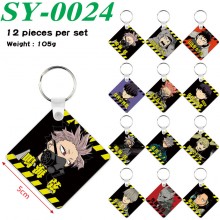 SY-0024