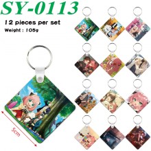 SY-0113