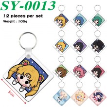 SY-0013