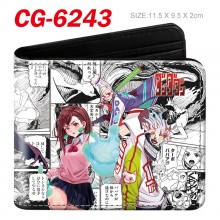 CG-6243