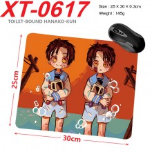 XT-0617