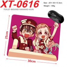 XT-0616