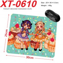 XT-0610