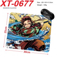 XT-0677