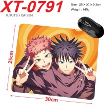 XT-0791