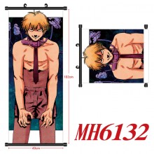 MH6132