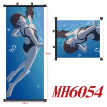MH6054