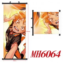 MH6064