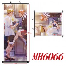 MH6066