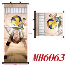 MH6063