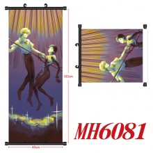MH6081