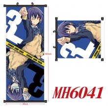 MH6041
