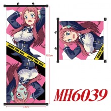 MH6039