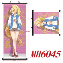 MH6045