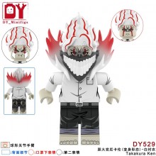 DY529