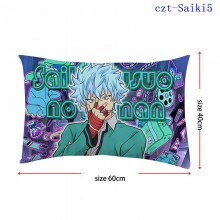 czt-Saiki5