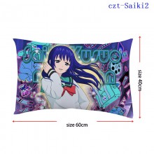 czt-Saiki2