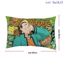 czt-Saiki3