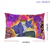 czt-Saiki1