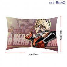 czt-Hero2