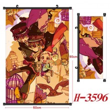 H-3596
