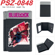 PSZ-0848
