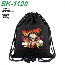 SK-1120