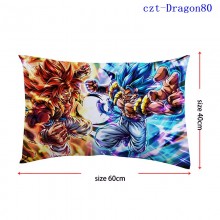 czt-Dragon80
