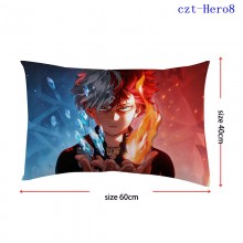 czt-Hero8