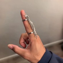 Creative Centipede Millipede Rings