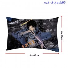 czt-Attack65