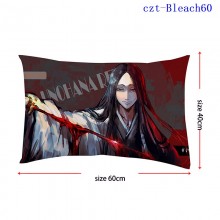 czt-Bleach60